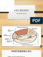 Leg Region Lamu