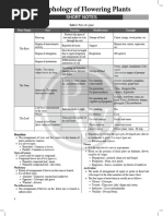 Morphology of Flowering Plants - Short Notes