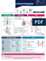 Body Systems Knowledge Organiser