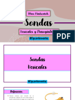 Flashcards Sondas Vesicales y SNG