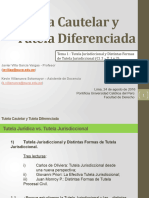 Tutela Cautelar y Tutela Diferenciada PPT Clase 2 (Temas 1 y 2) VF (0304650xD5325)