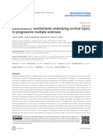 Inflammatory Mechanisms Underlying Cortical Injury