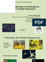 UIEDA 2016. Papel Dos Morcegos Na Polinização de Plantas Da Região Neotropical