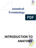 Anatomical Terminology