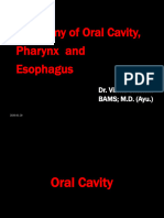 Oral Cavity