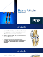 Sistema Articular