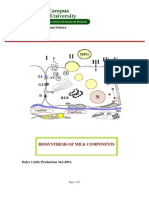 Biosynthesis of Milk Components