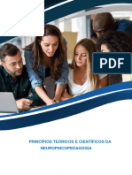 Princípios Teóricos e Científicos Da Neuropsicopedagogia