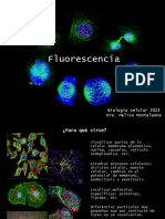 Fluorescencia 2023