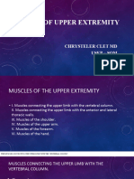 PDF Document 7