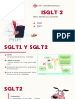 SLGT2