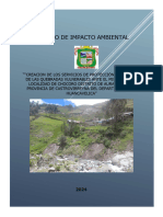 Estudio de Impacto Ambiental Aurahua