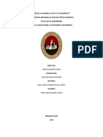 Proceso Redaccional - Ortiz Gaona.