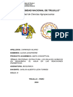 Mapa Conceptual - Semana 01