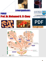 Prof. Dr. Mohamed G. El-Ziney: Faculty of Agriculture Department of Dairy Science & Technology