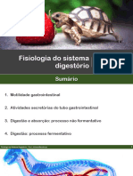 Fisiologia Do Sistema Digestório