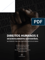 Livro - Direitos Humanos e Desenvolvimento Sustentável