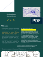 Aula 10 - Tuberculose