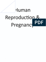 Human Reproduction & Pregnancy Booklet2024