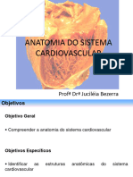 Cardiovascular