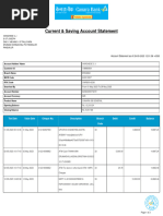 Current & Saving Account Statement