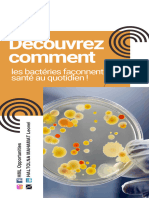 Découvrez Comment Les Bactéries Façonnent Votre Santé Au Quotidien