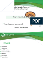 Neuroanatomia SNC - Lourenço Azevedo 30052024