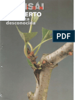 Bonsai Pasion 98