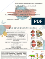 Estadios de La Formacion de Los Dientes - Odontogenesis