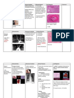 Lec 2 - Blood Vessels