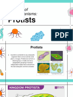 Protists