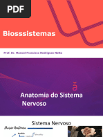 Biosssistemas: Prof. Dr. Manoel Francisco Rodrigues Netto