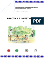 Practica e Investigacion I Primaria