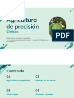 Agricultura de Precision Citricos