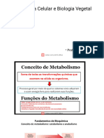 Metabolismo e Ciclo de Krebs