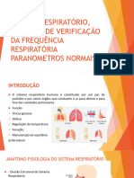 Sistema Respiratório