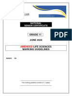 Amended Grade 11 June Exam MG 2024 FINAL