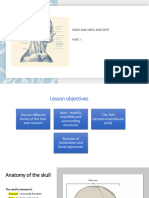 Head and Neck Anatomy Part 1