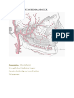 Artery of Head and Neck