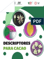 Iman Et-Al 2024 Descriptores Cacao