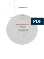 Proyecto Nacion Semiterminado 03