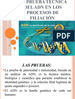 ADN Pruebas de Filiacion