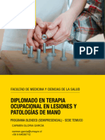 Diplomado en Terapia Ocupacional en Lesiones y Patologã - As de Mano