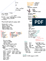 Anatomia