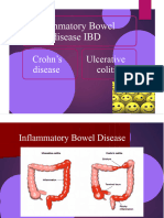 Inflammatory Bowel Disease IBD: Crohn's Disease Ulcerative Colitis