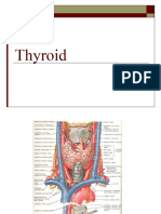 Endocrinology Thyroid