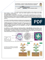 Biologia Circulacion en Plantas