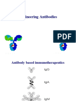 Engineering Antibodies