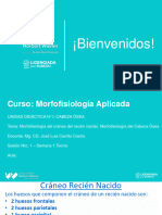 Clase 1 Teoria Morfofisiologia Aplicada