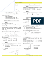 Trigo Exos